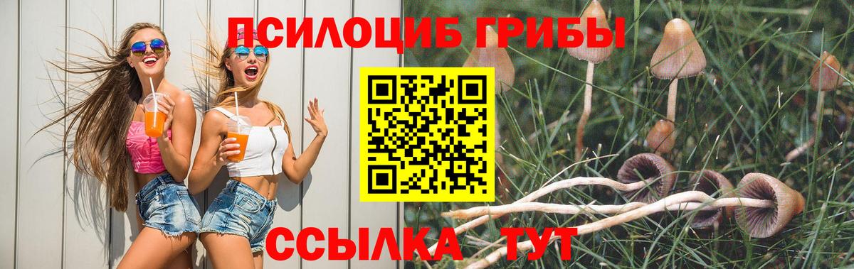 Когалым  Псилоцибиновые грибы Cubensis  Вход с VPN  Псилоцибиновые грибы MAGIC MUSHROOMS 